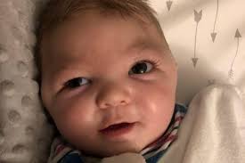 Fundraiser by Austin Hemmen : Oliver Bayless