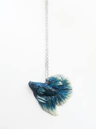 Butterfly bettas can have almost any color combination, though blue/white appears to be most. Polymer Clay Blue Butterfly Betta Fish Necklace By Jumpingjellys On Deviantart