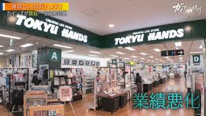 Image result for tokyu hands bento