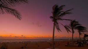 Here are only the best sunset beach wallpapers. Crimson Sky Over People In Beach At Sunset 4k Wallpaper