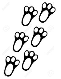 25 natural color rabbits foot key chains. Rabbit Paw Track Royalty Free Cliparts Vectors And Stock Illustration Image 52761653