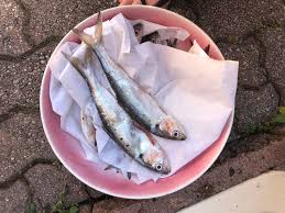 We did not find results for: Agone In Carpione Un Ricetta Fresca A Base Di Pesce Per L Estate