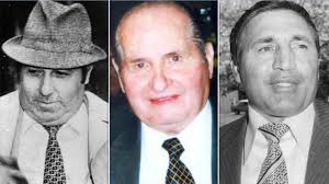 Australian mafia bosses linked to 'Ndrangheta in Italy, Enzo Macri says