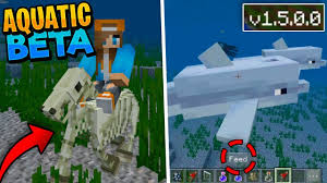 What Do Dolphins Eat In Minecraft? 1.14.4 - Youtube