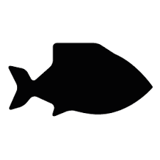 Fish Silhouettes Silhouettes Of Fish Free Fish Silhouette Fish Vector Silhouette Png
