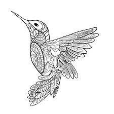 Hummingbird Mandala Mandala Coloring Pages Mandala Coloring Mandala Design Art