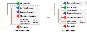 Only Two Domains Not Three Changing Views On The Tree Of Life Microbiology Society