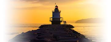 Critter control also offers some treatments for common pests like ants and roaches. Maine Pest Control Big Blue Bug Solutions
