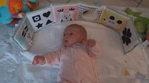 Votre pédiatre vous expliquera certainement que l'on remarque une augmentation de la tête plate chez les bébés depuis 96 et la recommandation de l'american pediatric association. Prevenir La Plagiocephalie Chu Dijon Bourgogne