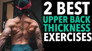 Apart from this we also need to make sure to train our stabilisers like infraspinatus, teres major, teres minor and rhomboids. How To Build A Thick Back Get Better Posture With Two Upper Back Exercises Youtube