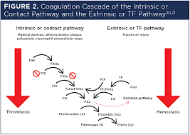 Image result for Anticoagulation Pathway
