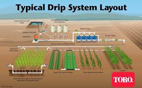 Design Vegetable Garden Irrigation System Subsurface Drip Irrigation Sdi Driptips By Tor Garden Irrigation System Drip Irrigation System Design Drip Irrigation