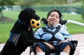 I Used To Be The Kid In The Wheelchair Now I M The Kid With The Amazing Dog Cory With Melly Service Dogs Dogs And Kids Assistance Dog