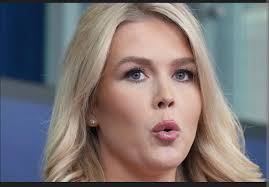 Yes, Ms. Leavitt, I do have a follow up. Have you always lacked pride and  integrity? Or did you have them removed for Trump?"