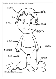 Printable Human Body Coloring Page Home In Pages For Kids Parts Of The Dak Path Print Coloring 2 Giao Dục Tiếng Anh