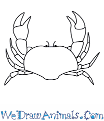 The bottom of the body has two slight curves on the sides with a downward bump in between them. How To Draw A Crab