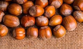 It is distributed in the temperate zone extending from japan, china, turkey, india, and europe to north america. Nuts About Agroforestry In The U S Midwest Can Hazelnuts Transform Farming