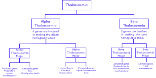 Maybe you would like to learn more about one of these? The Physiotherapy Management Of Thalassaemia And Sickle Cell Anaemia Physiopedia