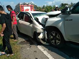 Gambar ikan pari, majalahhewan.com | ikan peh atau ikan pari merupakan salah satu hewan laut yang termasuk dari jenis ikan laut. Cerita Kak Z 2018