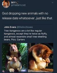 Just 16 Wholesome Memes To Start Off The Week Right Funny Animal Fails Cute Animals Funny Animals