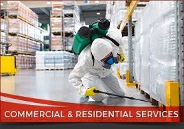 Our business is based on high quality wildlife removal & rodent control. Durapest Pest Control Pest Control Services Brampton On