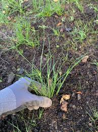 Image result for site:byggahus.se sådd