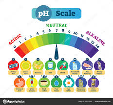 Ph Scale Chart With Examples Ph Acid Scale Vector