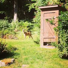 Hello Baby Deer Bunny On The Moon Flickr