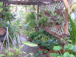 Pin By Tatiana Toledo On Garden Ideas Orchid House Orchids Garden Tropical Landscaping