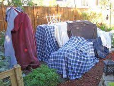 Maybe you would like to learn more about one of these? 17 Frost Protection Ideas Frost Plant Covers Plants