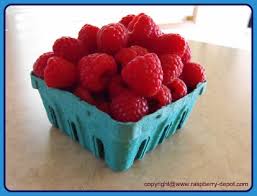 We did not find results for: Freezing Raspberries How To Freeze Raspberries Whole