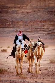 So, you can quickly check out their offers and compare them. 28 Wadi Rum Desert Ideas Wadi Rum Wadi Lawrence Of Arabia