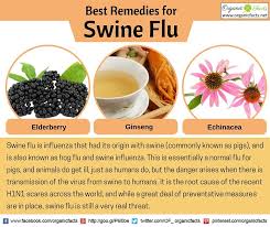 Treatments for influenza include a range of medications and therapies that are used in response to disease influenza. Pin On Home Remedies