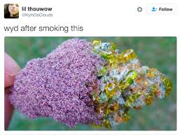 Kyindaclouds Wyd After Smokin This Know Your Meme