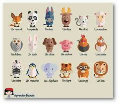 Animales
