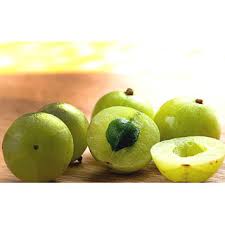 Image result for image of amla