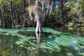 Vacation rentals available for short and long term stay on vrbo. Rainbow River Tubing Kayaking Clear Water Makes It Tops