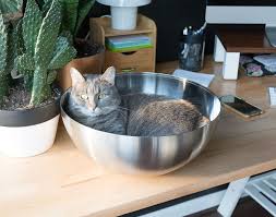 Make A Hanging Planter Out Of An Ikea Blanda Blank Stainless Steel Bowl Diy Planters Diy Hanging Planter Hanging Planters