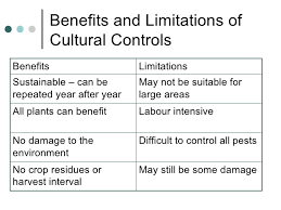 There are different advantages and disadvantages of technology. Rhs Year 2 Week 17 Presentation