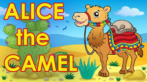 U got to make a punnet 2×2 square. Alice The Camel Counting Songs For Kids Action Songs For Kids By The Learning Station Youtube