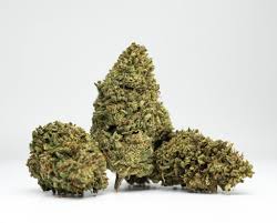 Maybe you would like to learn more about one of these? Blueberry Pie Strain Buy Cbd Hemp Flower Black Tie Cbd