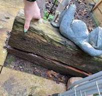 As you can see the railway sleepers in my garden are rotten ...