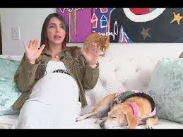 Mujeres Embarazadas Y Mascotas Mitos Y Verdades Sobre Compartir Con Animales Durante La Gestacion Youtube