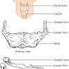 Stretching your wrists, shoulders, and neck will help reduce muscle tension. 3