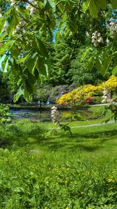 Maybe you would like to learn more about one of these? Garden Background Kolpaper Awesome Free Hd Wallpapers