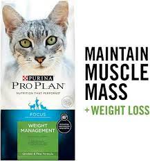 Pin On Lose Weight
