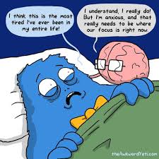 Why Don T You Sleep With Me Shut Up Pin By Valerie Knott On The Awkward Yeti Awkward Yeti Yeti Heart And Brain Comic