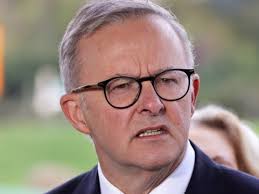 ABC Horse slaughter documentary showed horse that is still alive