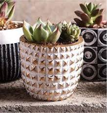 Maybe you would like to learn more about one of these? 900 Best Garden Appliances Ideas Amazing Gardens Garden Tool Set Garden Tools