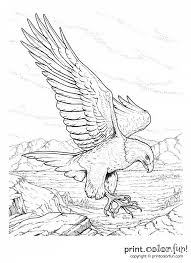 Remembrance day, monuments and more memorial day coloring pages and sheets to color. Memorial Day Coloring Pages Printables Print Color Fun Free Printables Coloring Pages Crafts Puzzles Cards To Print